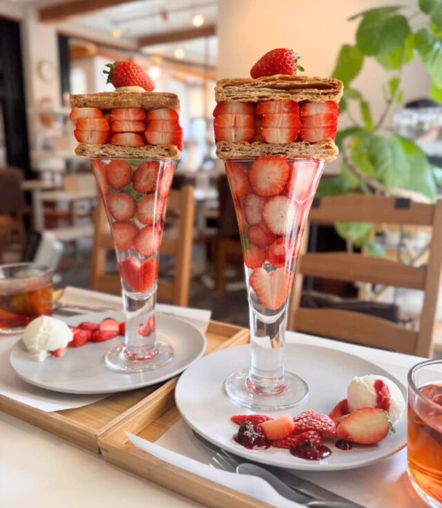 木下茶園のお店のコンセプトは女性と子供に優しいお店づくりです 粉末